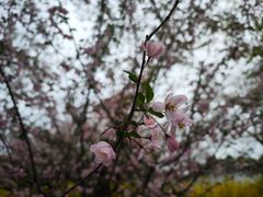 -东湖磨山景区