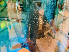 -金翠皇宫粤菜·点心·海鲜(科技园店)