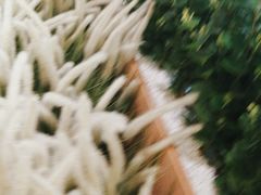 -卡朋西餐(扬名广场店)