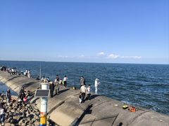 -东疆建设开发纪念公园