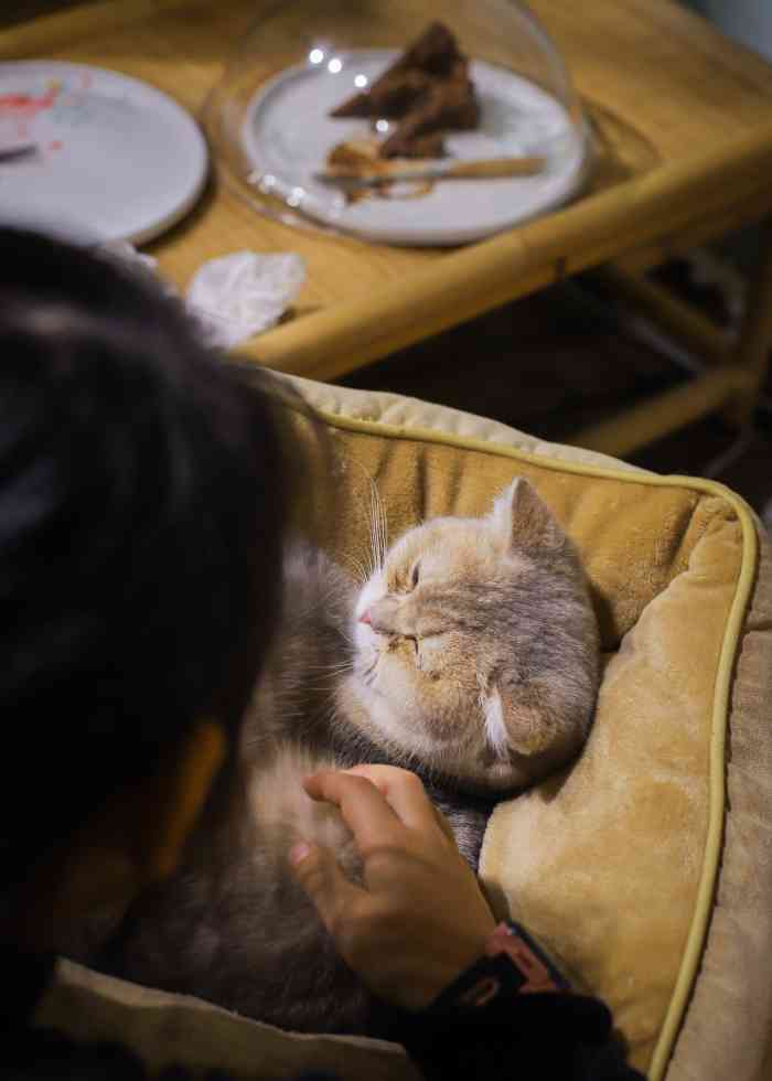 鼓捣猫宁猫吧-"本来是在抖音上看到想去的,到了之后,以为.
