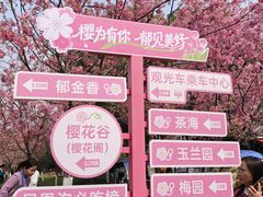 -凤凰沟景区