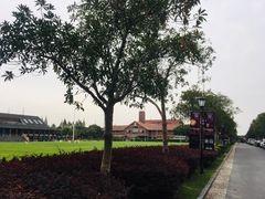 -上海德威外籍人员子女学校(浦东校区)