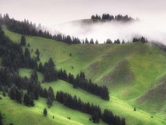 -重庆歌乐山烈士陵园