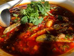 -胖大姐黄辣丁鱼庄(新津店)