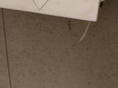 -必胜客(滨江店)