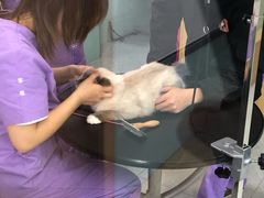 -中农大我爱我爱动物医院·核磁CT·猫病·24小时夜诊中心(石佛营店)