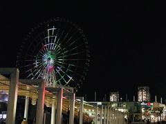 -台场海滨公园船码头