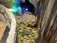 -老湘亲·品鉴湘菜(湖里店)