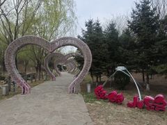 -莫子山公园