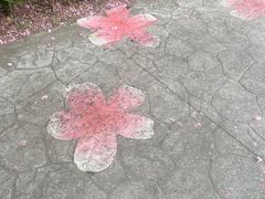 -高东镇樱花园