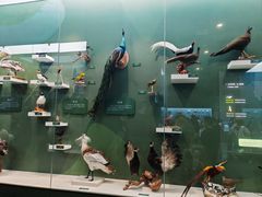 -国家自然博物馆