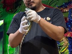 -上海大自然野生昆虫馆(东方明珠·爬宠昆虫探索中心)