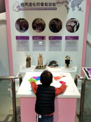 -北京科学中心儿童乐园