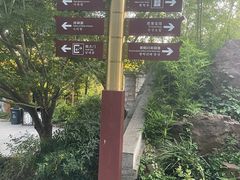 -黄鹤楼