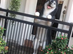 -TrueLove @ Neverland (Husky Cafe)