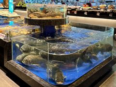-高佳庄·海鲜酒楼(定海店)