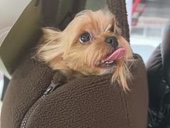 -FAELING PETS美天灵宠物(富力广场店)