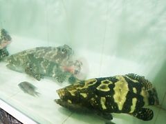 -海盗餐厅