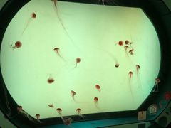 -沈阳海洋探索中心