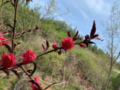 -天津盘山风景名胜区