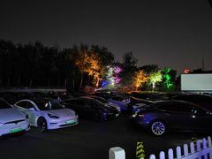 -枫花园汽车电影院(朝阳公园店)