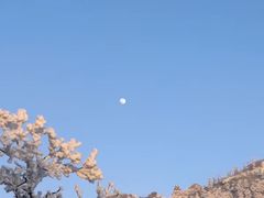 -秦岭风景区