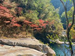 -大鄣山卧龙谷景区