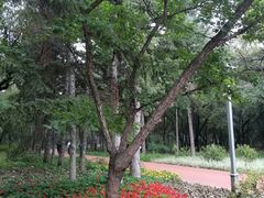 -长春市南湖公园