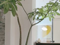-自如ZSPACE四合院艺术餐厅