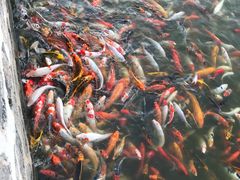 -北戴河圣蓝海洋公园