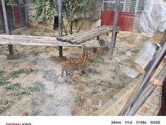 -石家庄市动物园