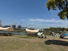 -春花秋色城市公园