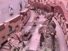 -陕西自然博物馆