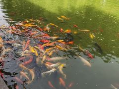 -团结湖公园