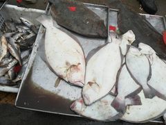 -李村大集