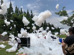 -前小桔亲子创意农场·草莓采摘·露营烧烤