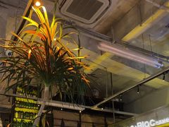 -Blac+Blac(中海环宇荟店)