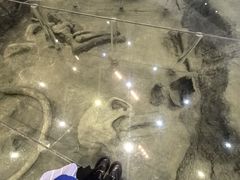 -大庆市博物馆