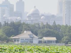 -月湖风景区