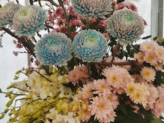 -上海鲜花港