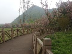 -贵阳市花溪国家城市湿地公园