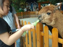 -华夏文旅海洋公园