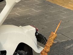 -牛街洪记小吃店(牛街店)