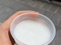 -洪馨椰子