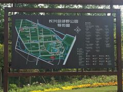 -上海长兴岛郊野公园