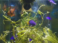 -太平洋海底世界