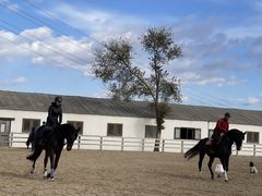 -北京群众马术培训基地