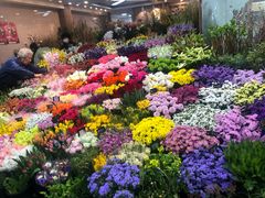 -大起水产回转寿司(道顿堀店)