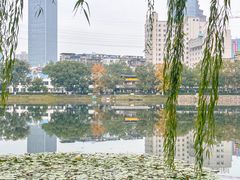 -宝岛公园